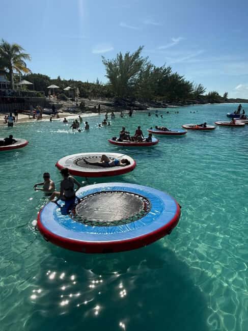 Paradise Found In Hog Haven: Ultimate Beach Escape - Who Will Love This Tour?