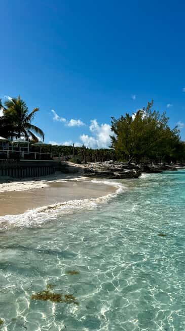 Paradise Found In Hog Haven: Ultimate Beach Escape - FAQ