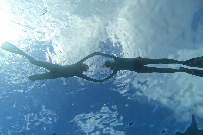 Paradise Honu Snorkeling Tour - Why This Tour Won’t Disappoint