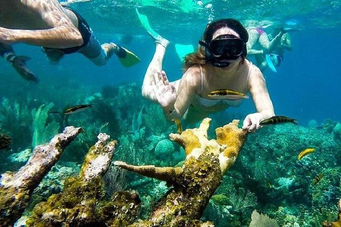 Paradise Island Cayo Arena & Mangroves from Puerto Plata (Full Day) - The Value of This Tour