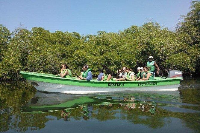 Paradise Island Cayo Arena & Mangroves from Puerto Plata (Full Day) - FAQ