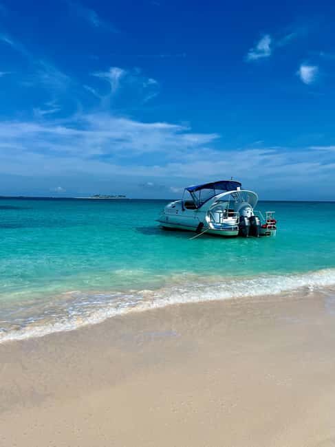 Paradise Island: Glass-Bottom Boat Tour with Live Commentary - What the Reviews Say