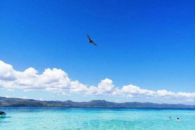 Paradise Island & Mangroves Tour - The Itinerary in Detail