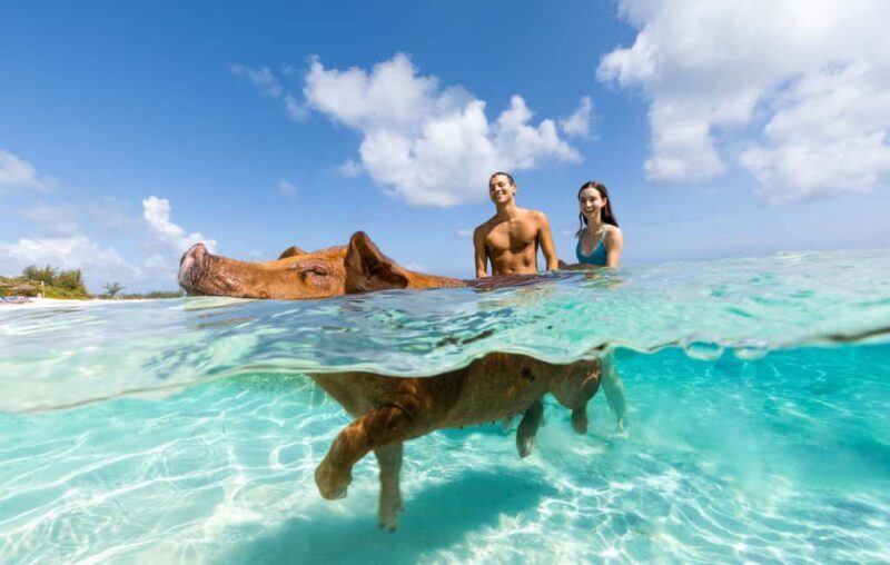 Paradise Island: Rose Island Tour with Swimming Pigs & Lunch - A Complete Breakdown of the Rose Island Experience