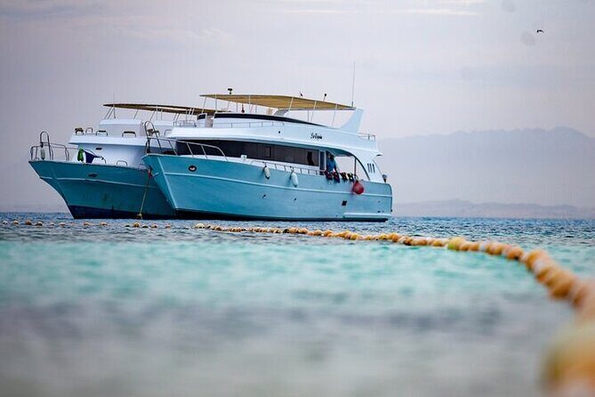 Paradise Island & snorkeling & Water Sports in Hurghada - A Detailed Look at the Tour Experience