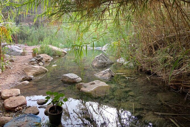 Paradise Valley and Atlas Mountains Adventure in Agadir - Final Thoughts