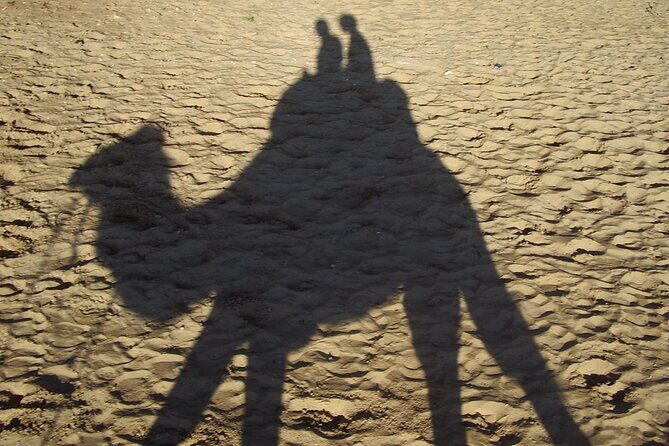 Paradise Valley and Camel Ride at Sunset Pass - A Detailed Look at the Tour Experience