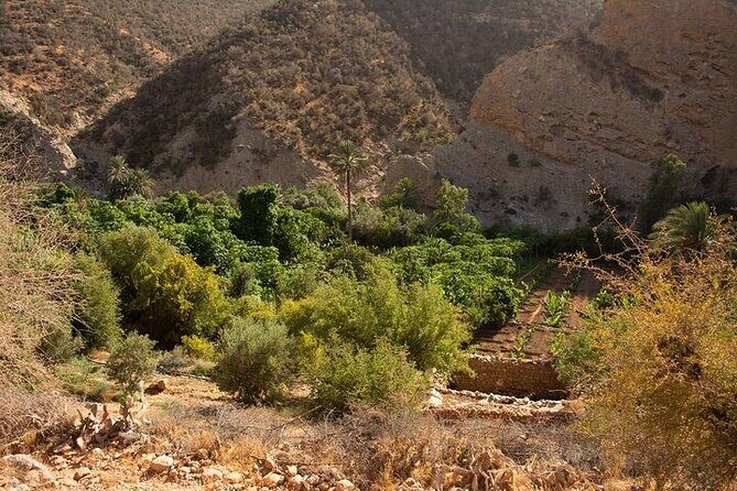 Paradise Valley and Camel Ride at Sunset Pass - Perfect For