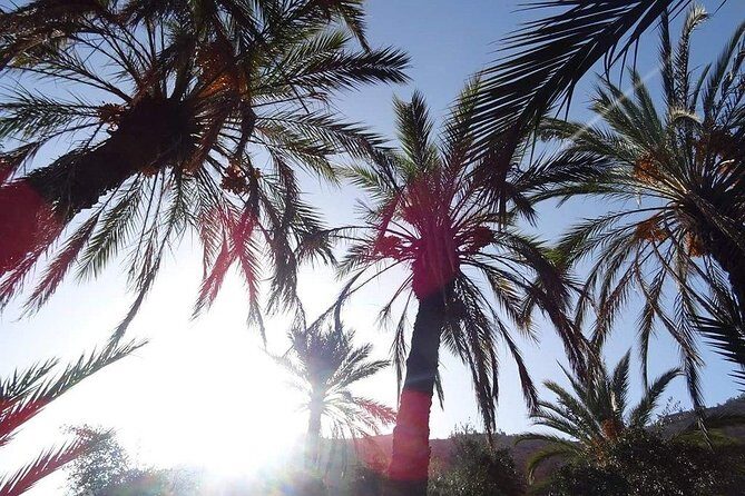 Paradise Valley - Atlas Mountain - An Honest Look at the Paradise Valley Tour