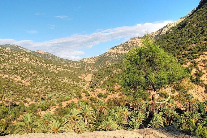 Paradise Valley & Atlas Mountains Adventure with optional LUNCH - A Deep Dive into the Experience