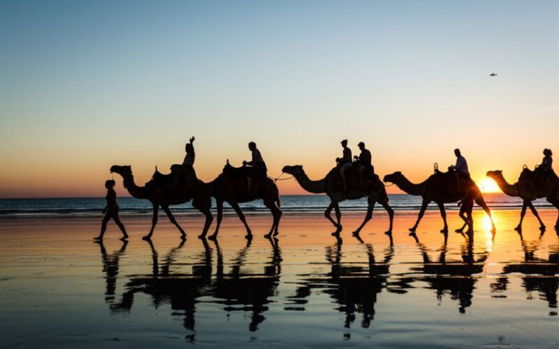 Paradise Valley & Desert Dunes with Camel Ride and quad bike - Who Should Consider This Tour?