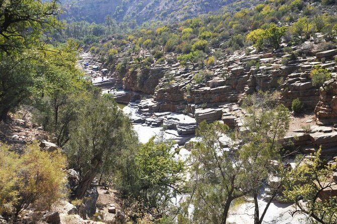 Paradise Valley excursion + local Breakfast + berber Market - An In-Depth Look at the Tour Itinerary