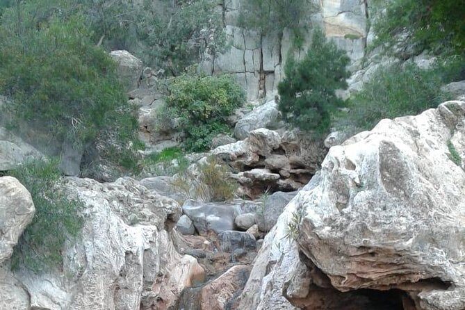 Paradise Valley excursion + local Breakfast + berber Market - The Practical Side: What You Need to Know