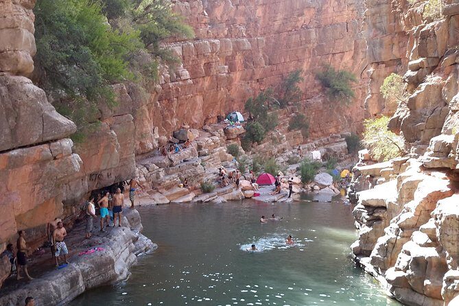 Paradise valley half day from Agadir - Real Traveler Feedback: What Makes This Tour Stand Out