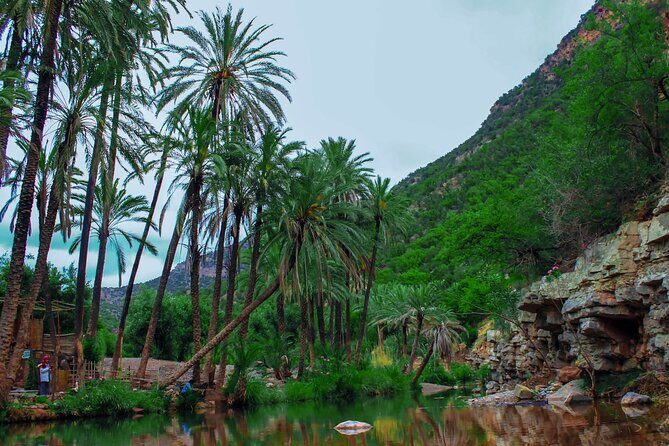 Paradise Valley Trip from Agadir - Key Points