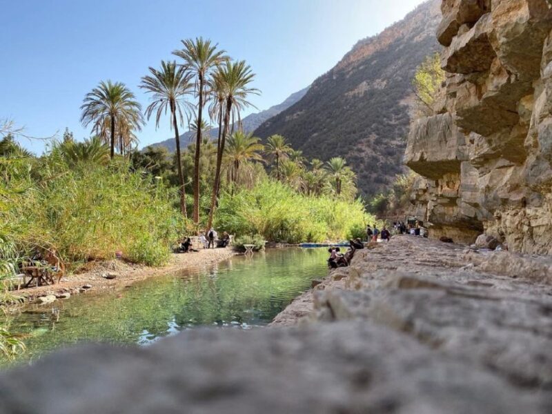 Paradise Valley With Quad Biking and Camel Ride Experience - Authenticity and Value: Why It Works