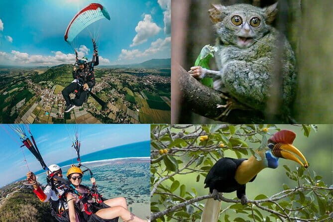 Paragliding and Rafting including lunch and pickup - Who Will Love This Tour?