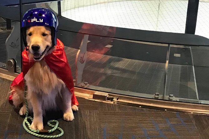 Paramus Indoor Skydiving Experience with 2 Flights & Personalized Certificate - The Experience’s Potential Drawbacks
