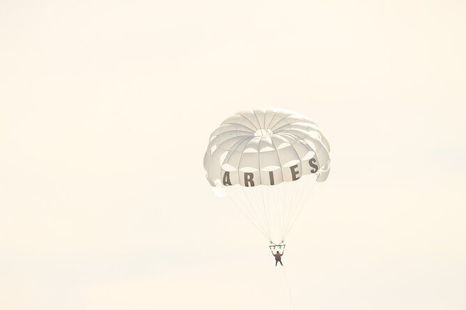 Parasailing Adventure in Los Cabos - Authentic Feedback from Travelers