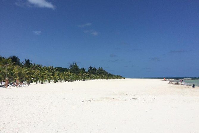 Parasailing in Playa del Carmen with transfer - What the Reviews Tell Us