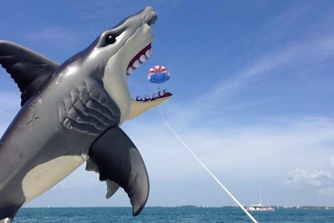 Parasailing over the Historic Key West Seaport - Practical Tips for Your Trip