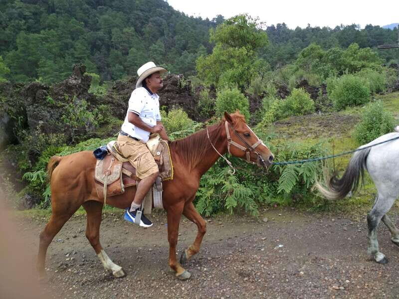 Paricutin Volcano Crater Special Tour - Setting the Scene: Why This Tour is Worth Considering