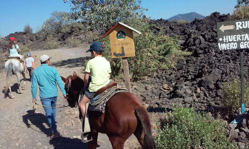 Paricutin Volcano Crater Special Tour - What You’ll Get and What You Might Miss