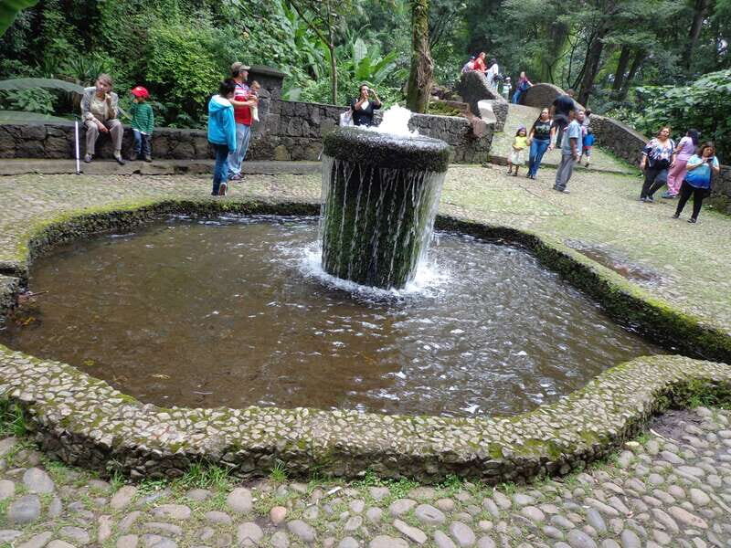 Paricutin Volcano Crater Special Tour - FAQ