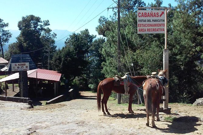Paricutin Volcano Tour (Morelia) - The Experience in Detail