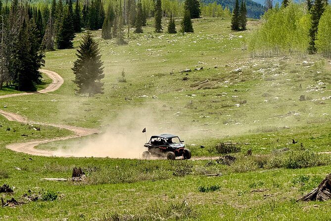 Park City ATV and UTV Rentals (4 Seater RZR) - A Closer Look at the Experience