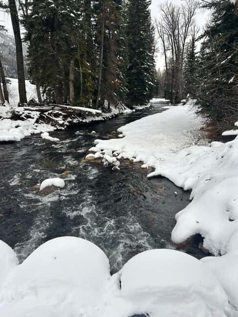 Park City: Guided Fly Fishing on Provo & Weber Rivers - FAQ