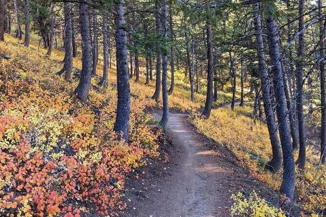 Park City Hiking Activity with Local Guide - FAQ