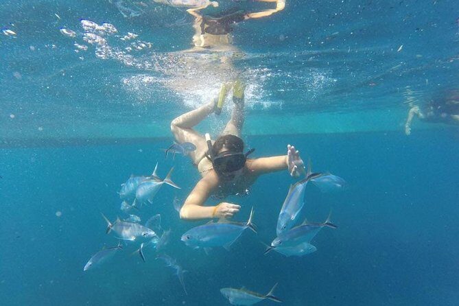 Party boat in Catamaran with Open Bar Only Adults + Snorkeling - FAQs