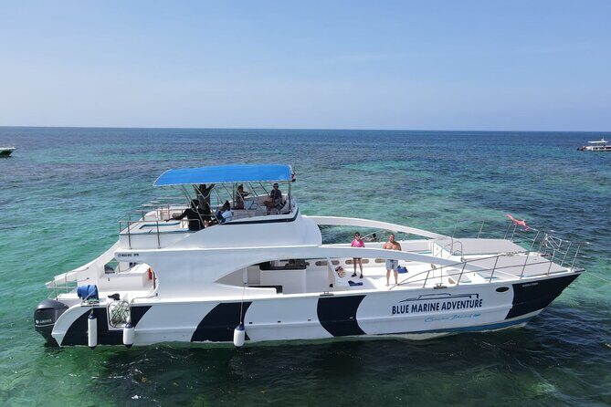 Party Boat - Private groups, snorkeling - Open Bar. - Final Thoughts