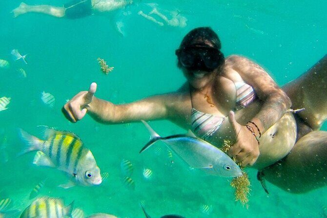 Party Boat - Private groups, snorkeling - Open Bar. - FAQ