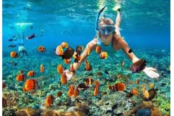 Party Catamaran and Snorkeling Tour in Montego Bay - Authentic Experiences and Traveler Feedback