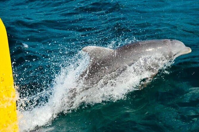 PARTY Catamaran Cruise with Snorkeling Rick's Cafe ADULTS ONLY - FAQ