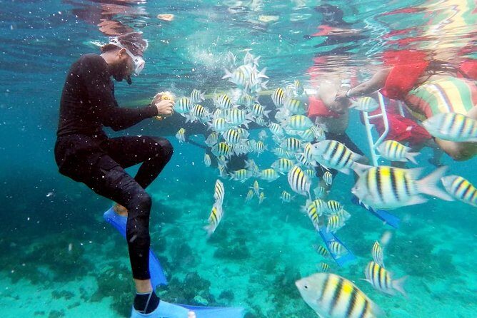 Party Catamaran: OpenBar, Music, Negril Beach, Caves, Snorkeling - Final Thoughts