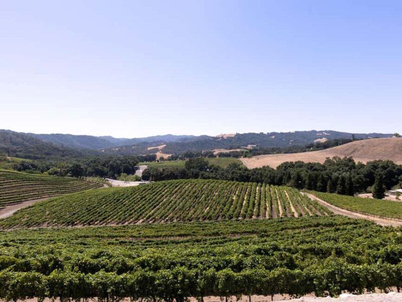 Paso Robles: 3-Winery Tour with Tastings and Lunch - Key Points