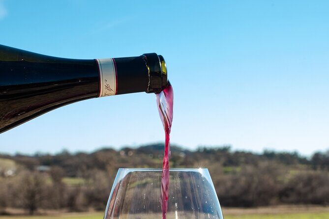 Paso Robles Aria (Syrah Dominant) Flight Wine Tasting - Authentic Perspectives from Guests