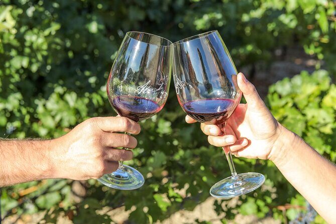 Paso Robles Gold Reserve Flight - The Experience: What You’ll Actually Feel