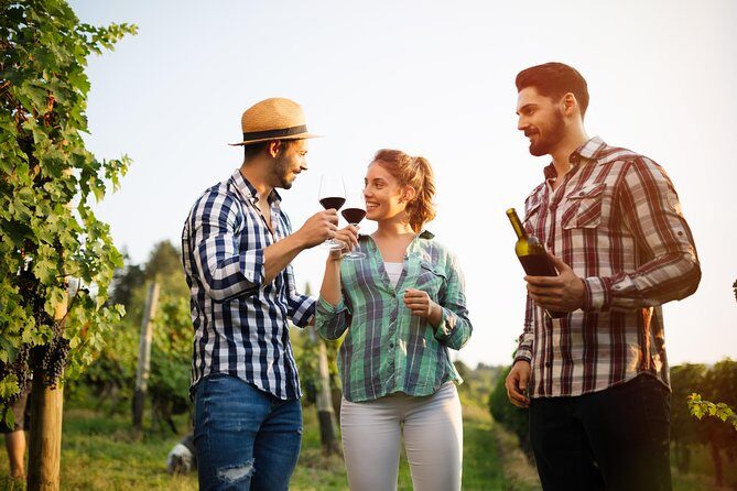 Paso Robles Wine Adventure with pickup from San Luis Obispo, CA - Final Thoughts: Is It Worth It?