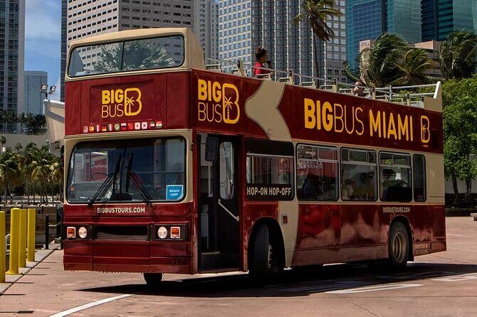 Passin Miami: Free 30+ Attractions, eSIM & 1-Way Airport Transfer - A Practical Introduction to the Miami Experience