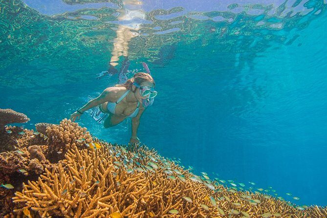 Passions of Paradise Great Barrier Reef Cruise by Catamaran - Who Should Book this Tour?