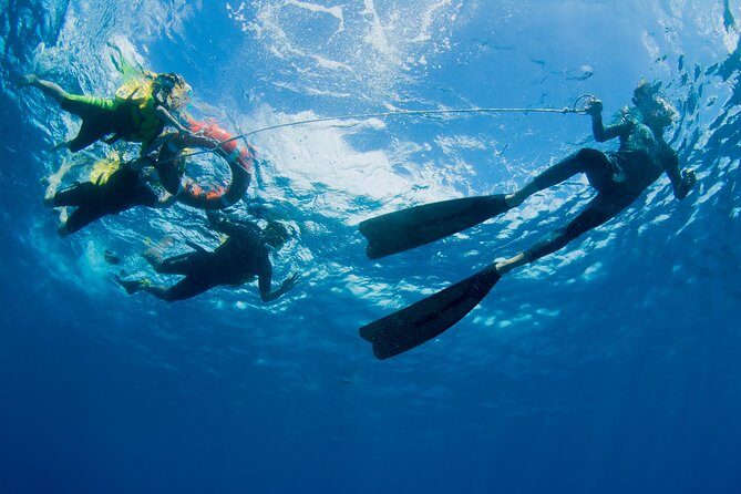 Passions of Paradise Great Barrier Reef Cruise by Catamaran - FAQ