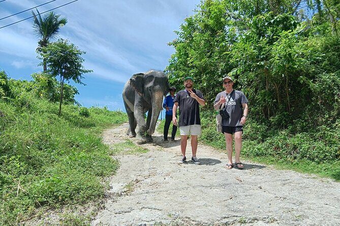 Patong Highlight Elephant Sanctuary with Guide Tour - Key Points
