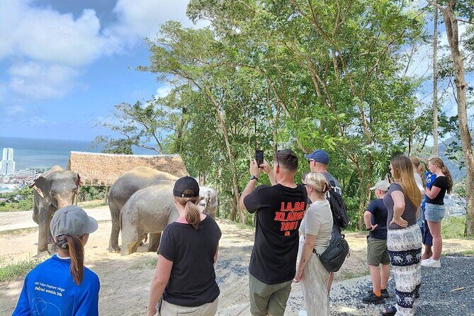 Patong Highlight Elephant Sanctuary with Guide Tour - Why This Tour Stands Out
