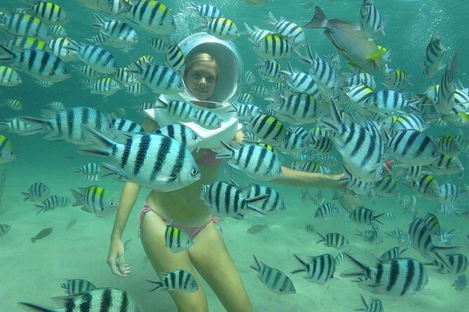 Pattaya Coral Island Full Day Tour from Bangkok - Transportation & Timing