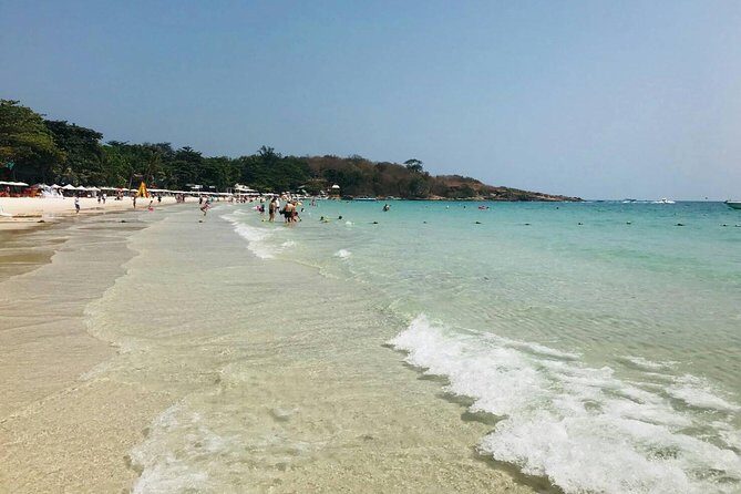 Pattaya : Coral Island Tour by Speedboat with Indian Lunch & Pick Up from Hotel - An In-Depth Look at the Experience