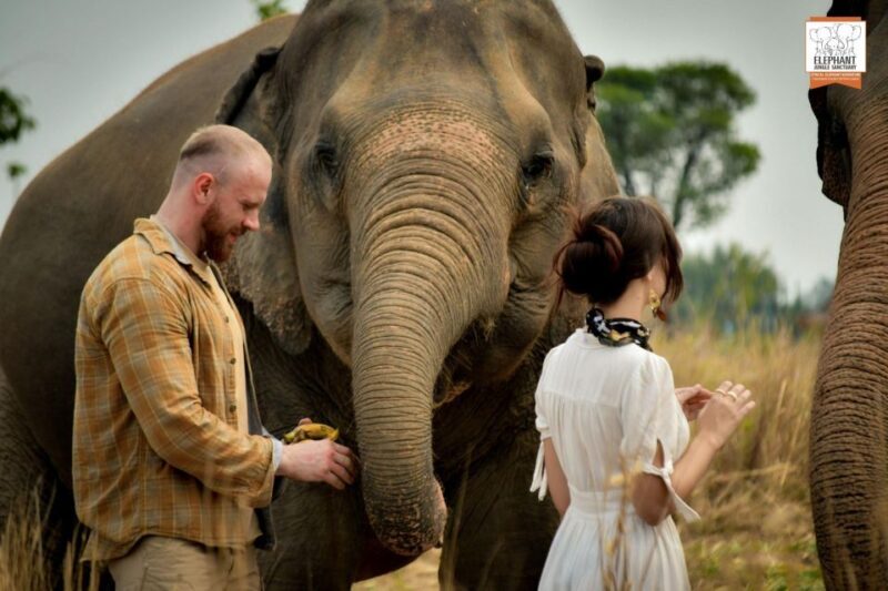Pattaya: Elephant Jungle Sanctuary Feeding Experience - Key Points